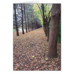 Colorado Autumn Lane
