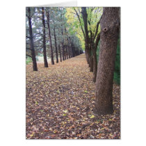 Colorado Autumn Lane cards by bemslie Colorado Autumn Lane cards
