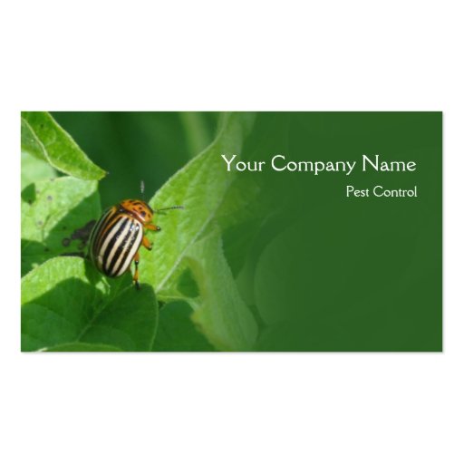 Colorado beetle business card (front side)