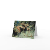 colorado bull moose Note Card