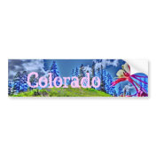 Colorado columbine artistic bumpersticker bumper sticker