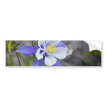 Colorado Columbine Bumper Stickers