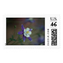Colorado Columbine postage