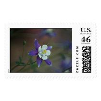 Colorado Columbine postage