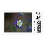 Colorado Columbine Stamp