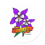 Colorado Columbine
