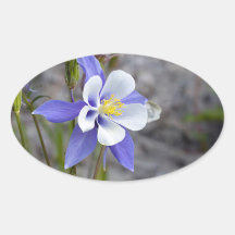 Colorado Columbine Stickers