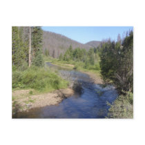 Colorado creek postcard