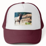 Colorado Elk cap