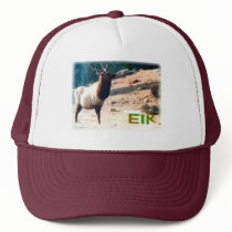 Colorado Elk cap hats