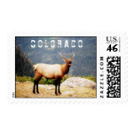Colorado Elk Stamp