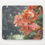 Colorado Fall Weather Red Leaves &amp; Rain Mousepad