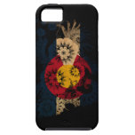 Colorado Flag casemate cases