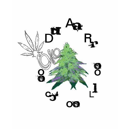 Colorado for Pot Women's Shirt shirt