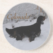 Colorado Gordon Setter in Snowstorm Coaster