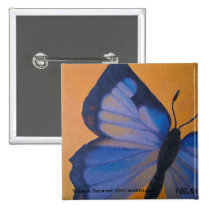 Colorado Hairstreak Button buttons