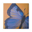 Colorado Hairstreak Magnet by theHOELstudio Colorado Hairstreak Magnet