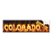 colorado hottie bumper sticker