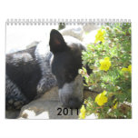colorado Images 2011 Wall Calendars