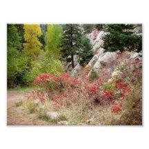 Colorado Landscape Works Photographic Print