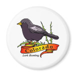 Colorado Lark Bunting