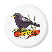 Colorado Lark Bunting magnets by GeographyTees Colorado Lark Bunting magnets