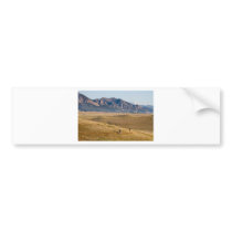 Colorado Mountain Biking Fun Bumper Stickers