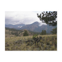 Colorado Mountains Postcard