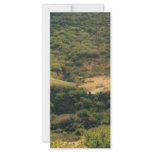 colorado mountains rack card template