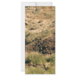 colorado Mountains Custom Rack Card