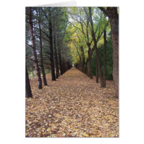 Colorado path cards by bemslie Colorado path cards