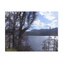 Colorado Postcard