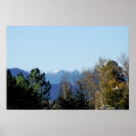 Colorado Poster
