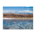 Colorado River in Winter postcards