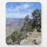 Colorado River trees mousepad