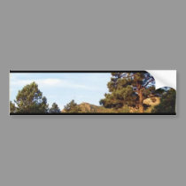 Colorado Rocky Mountains bumper stickers