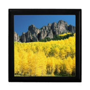 Colorado Scene Keepsake Box