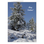 Colorado Snow Christmas Card