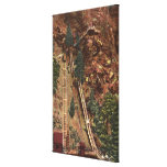 Colorado Springs, CO Stretched Canvas Prints