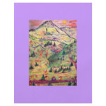colorado  village flyers