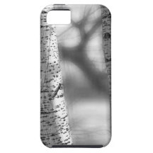 Colorado White Birch Trees in Black and White iPhone 5 Covers