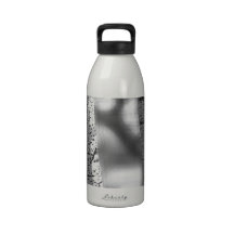 Colorado White Birch Trees in Black and White Drinking Bottles