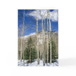 Colorado Wilderness Card