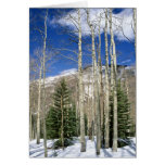Colorado Wilderness Card