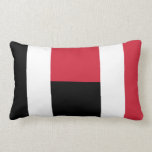 Colorblock - RWB pillows