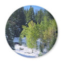 Colordao Aspen & Snow magnets by fwnsbrd Colordao Aspen & Snow magnets