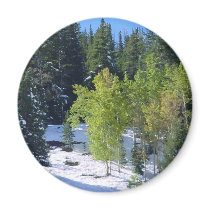 Colordao Aspen & Snow magnets by fwnsbrd Colordao Aspen & Snow magnets