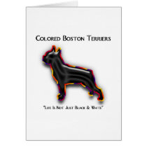 Colored Boston Terrier cards by katramsey Colored Boston Terrier cards