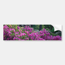 Colored Bushes Bumper Stickers