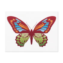 COLORED BUTTERFLY postcards